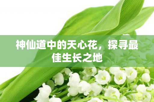 神仙道中的天心花图片