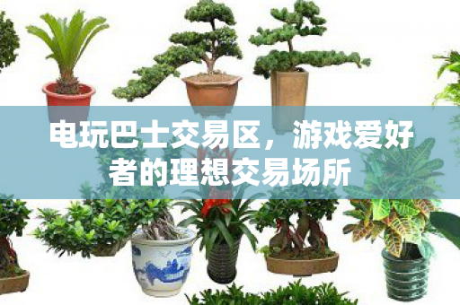 游戏爱好者的理想交易场所图片