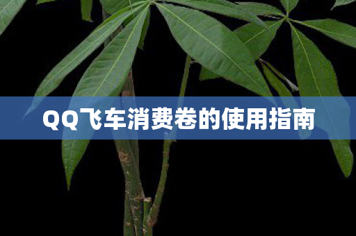 QQ飞车消费卷的使用指南图片