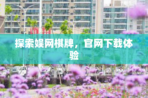 探索娱网棋牌图片
