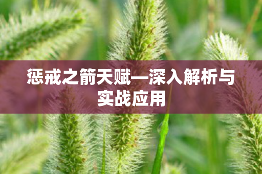 深入解析与实战应用图片