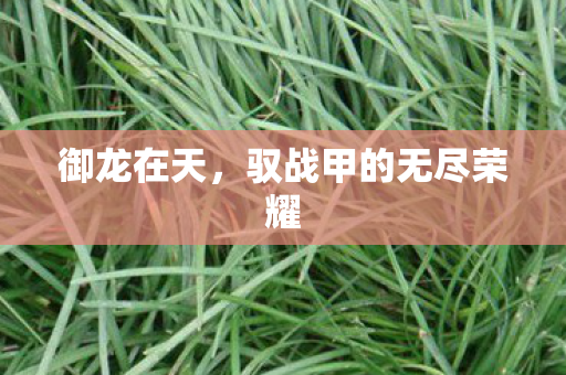 驭战甲的无尽荣耀图片