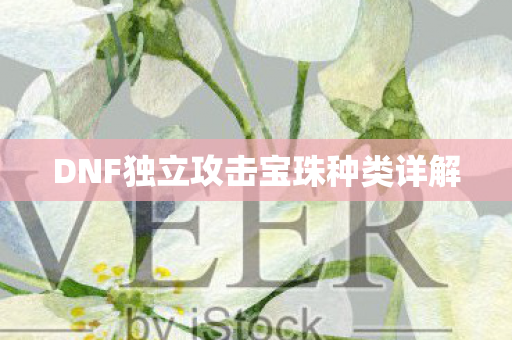 DNF独立攻击宝珠种类详解图片