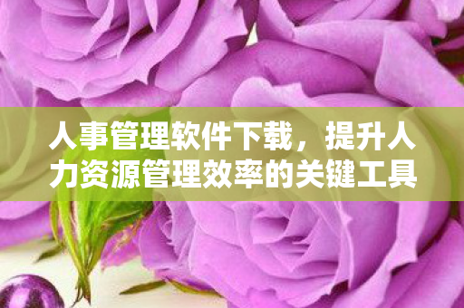 提升人力资源管理效率的关键工具图片