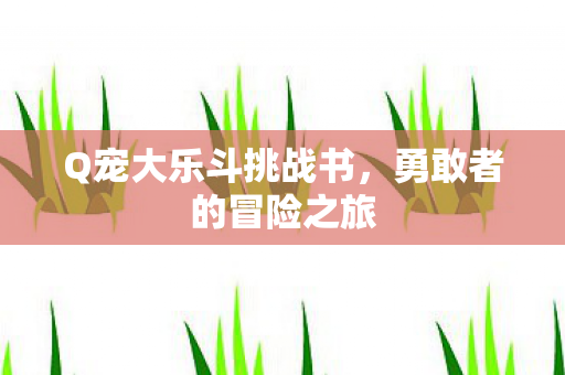 Q宠大乐斗挑战书图片