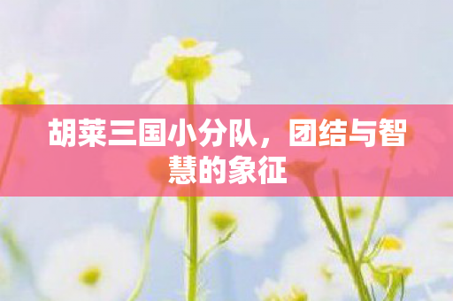 团结与智慧的象征图片