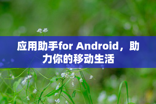 应用助手for Android图片