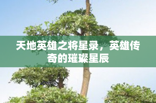 英雄传奇的璀璨星辰图片