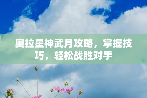 奥拉星神武月攻略图片