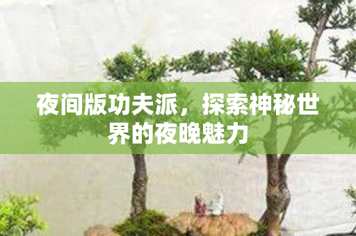 探索神秘世界的夜晚魅力图片