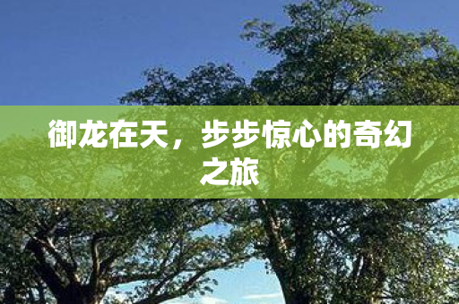 步步惊心的奇幻之旅图片