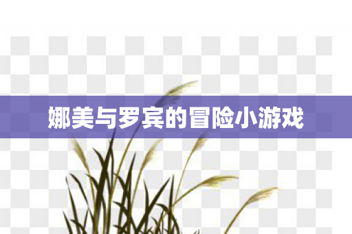 娜美与罗宾的冒险小游戏图片