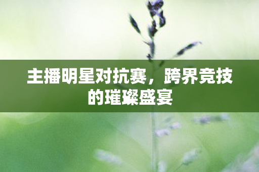 跨界竞技的璀璨盛宴图片