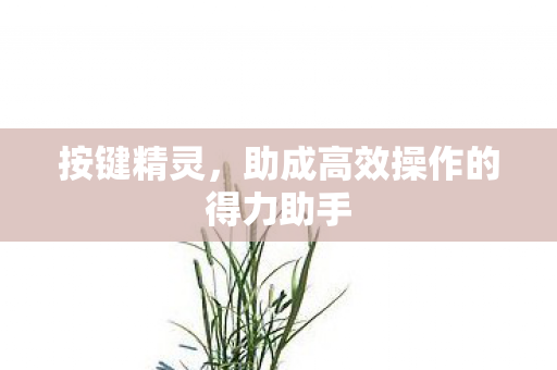 助成高效操作的得力助手图片