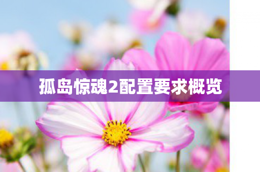 孤岛惊魂2配置要求概览图片