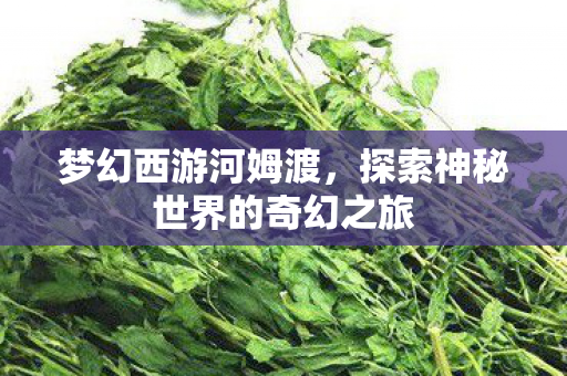 探索神秘世界的奇幻之旅图片