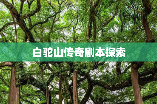 白驼山传奇剧本探索图片