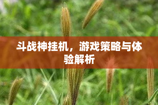 游戏策略与体验解析图片