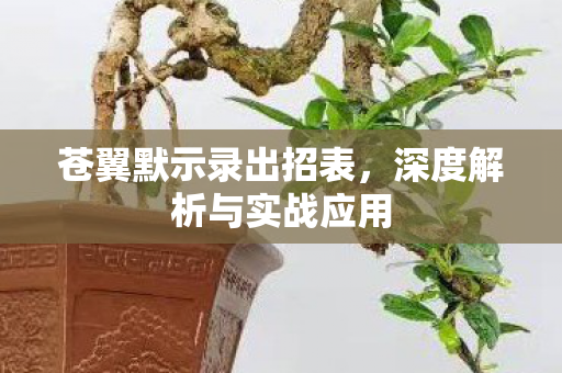 深度解析与实战应用图片