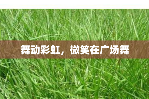 微笑在广场舞图片