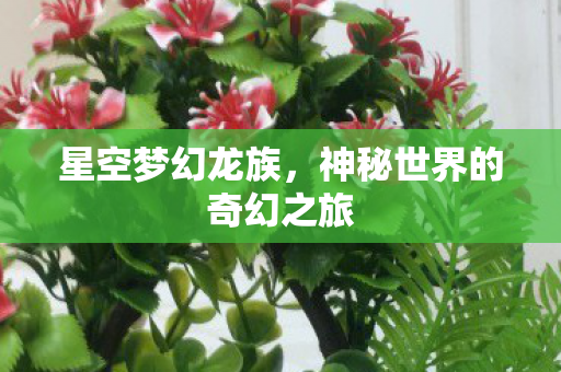 神秘世界的奇幻之旅图片