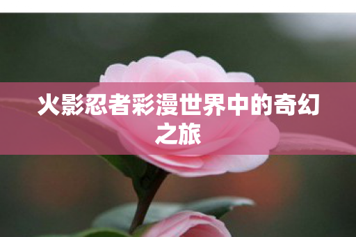 火影忍者彩漫世界中的奇幻之旅图片
