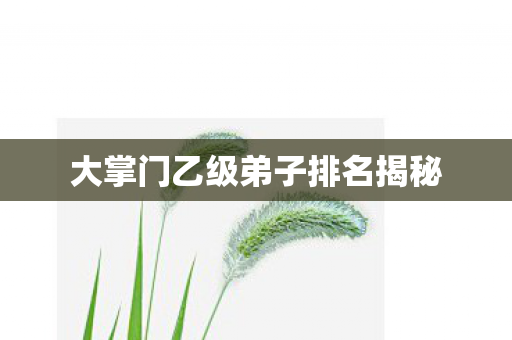 大掌门乙级弟子排名揭秘图片