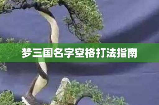 梦三国名字空格打法指南图片