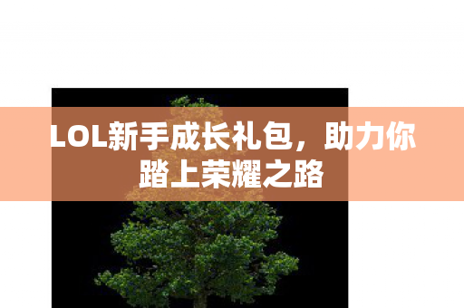 LOL新手成长礼包图片