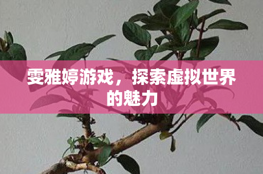 探索虚拟世界的魅力图片