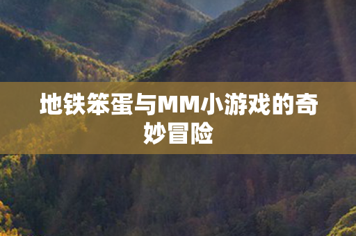 地铁笨蛋与MM小游戏的奇妙冒险图片