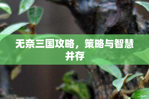 策略与智慧并存图片