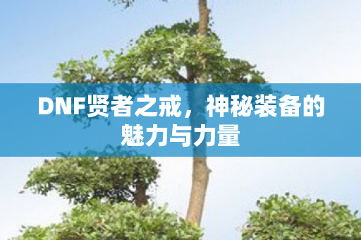 神秘装备的魅力与力量图片