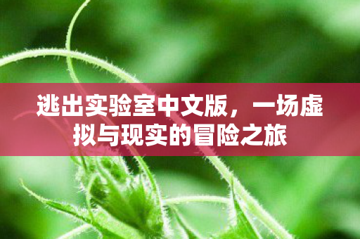 一场虚拟与现实的冒险之旅图片