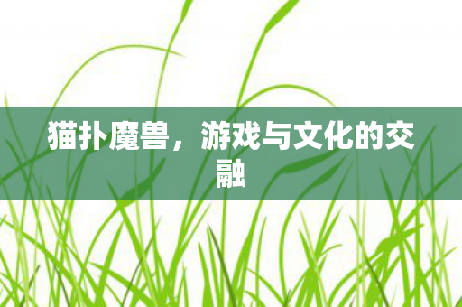 游戏与文化的交融图片