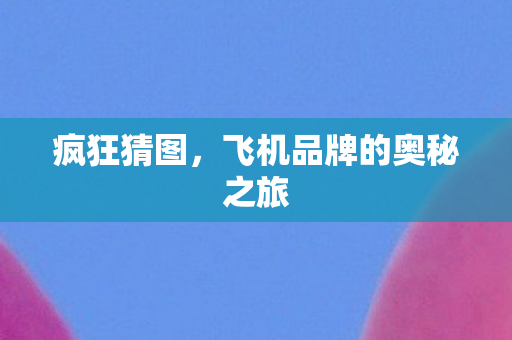 飞机品牌的奥秘之旅图片
