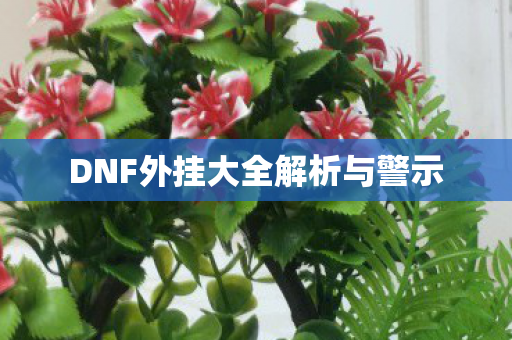 DNF外挂大全解析与警示图片