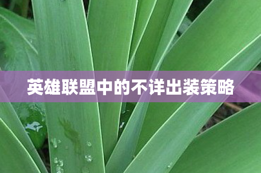 英雄联盟中的不详出装策略图片