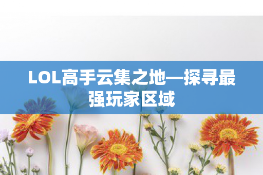 LOL高手云集之地图片