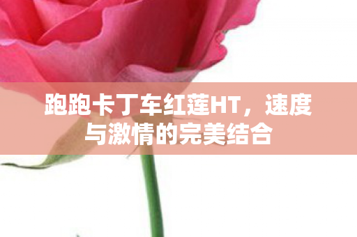 速度与激情的完美结合图片