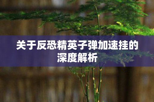 关于反恐精英子弹加速挂的深度解析图片