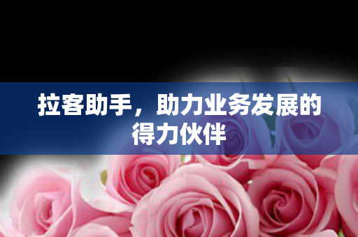助力业务发展的得力伙伴图片
