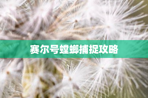 赛尔号螳螂捕捉攻略图片