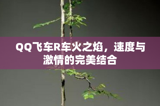 速度与激情的完美结合图片