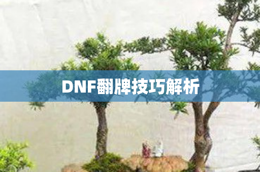 DNF翻牌技巧解析图片