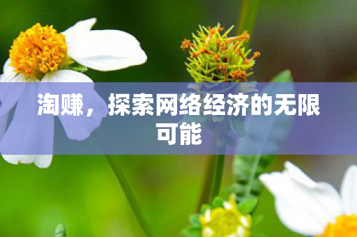 探索网络经济的无限可能图片
