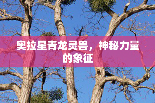 奥拉星青龙灵兽图片