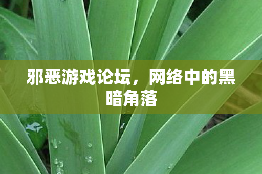网络中的黑暗角落图片