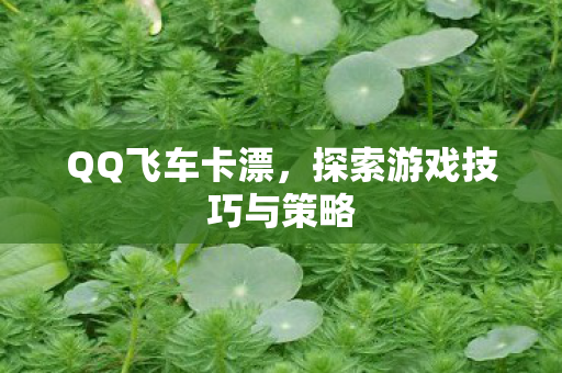 探索游戏技巧与策略图片