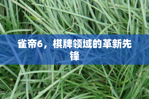 棋牌领域的革新先锋图片